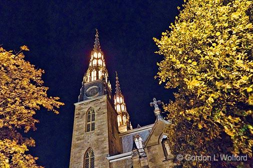 Notre Dame Cathedral_17440.jpg - Cathedral Basilica of Notre Dame photographed in Ottawa, Ontario, Canada.